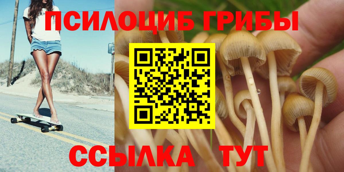 Псилоцибиновые грибы мицелий  Вход с VPN  Борисоглебск 