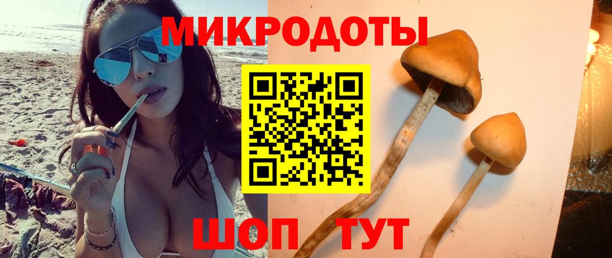 Псилоцибиновые грибы MAGIC MUSHROOMS Борисоглебск